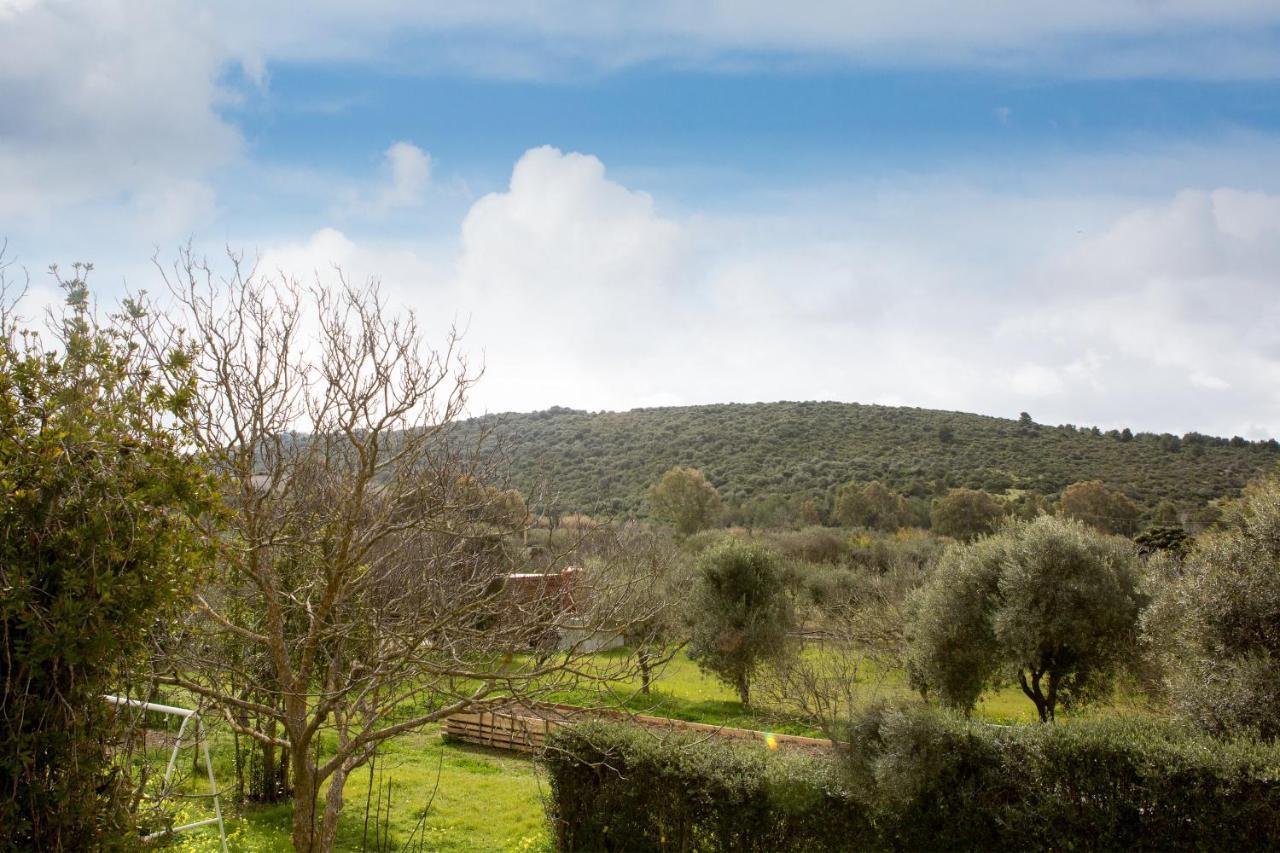 Alghero In Bicicletta Exteriör bild